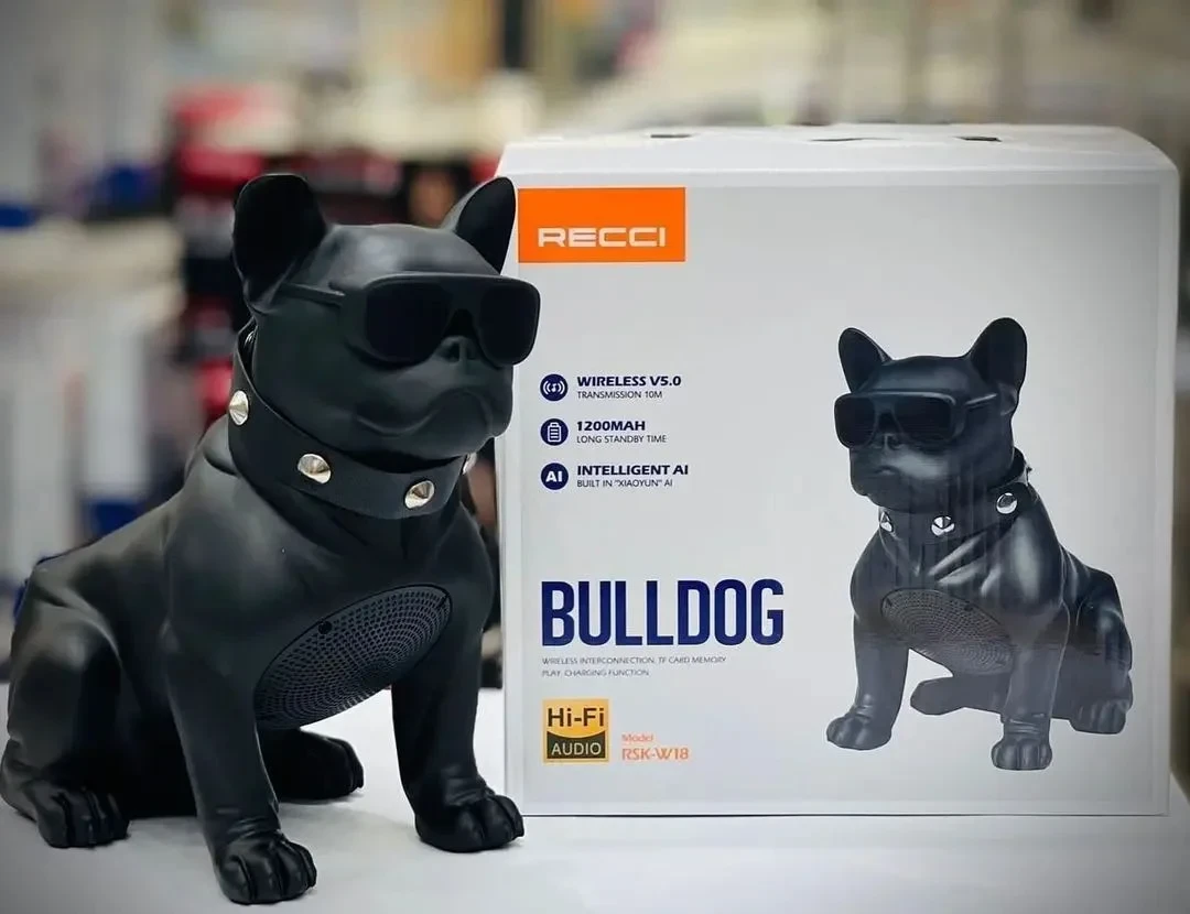 Recci RSK-W18 BullDog Wireless Speaker With Microphone