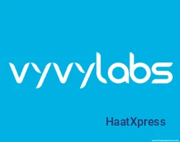 VyVylabs